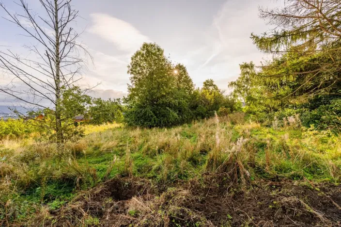 Prodej pozemku pro bydlení, Liberec - Liberec XIX-Horní Hanychov, 1533 m2