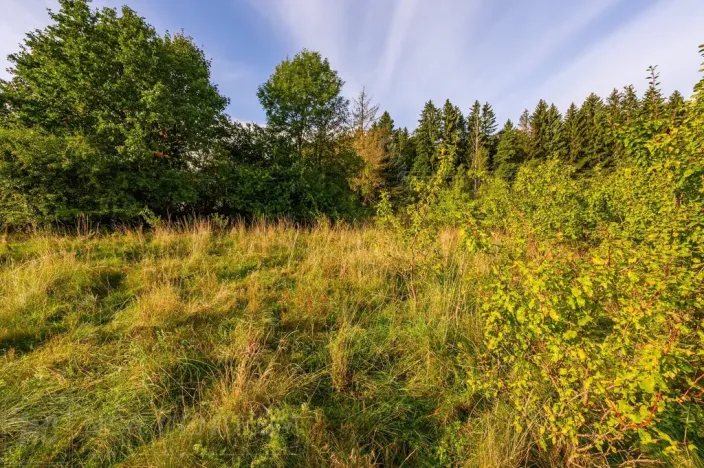 Prodej pozemku pro bydlení, Liberec - Liberec XIX-Horní Hanychov, 1533 m2