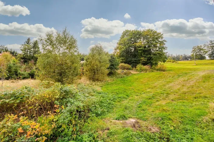 Prodej louky, Bedřichov