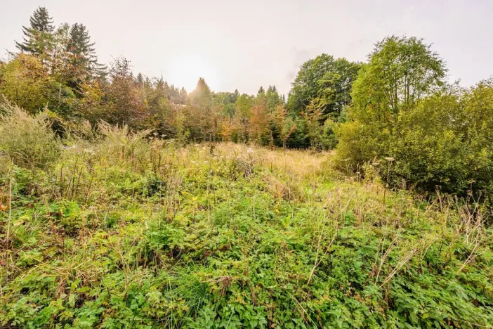 Prodej louky, Bedřichov, 3741 m2