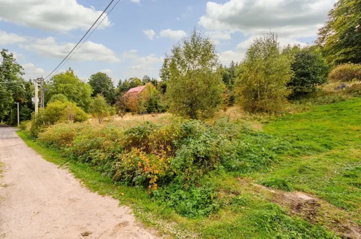 Prodej louky, Bedřichov, 3741 m2