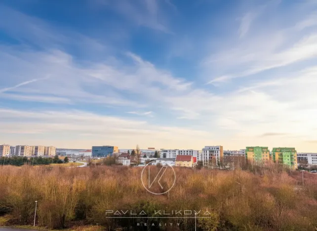 Prodej bytu 2+1, Plzeň, Čermákova, 63 m2