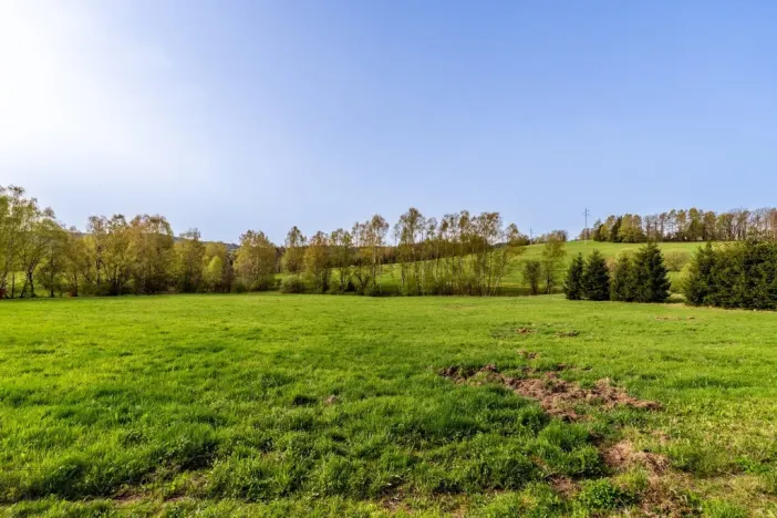 Prodej louky, Jablonec nad Nisou - Proseč nad Nisou, 10370 m2