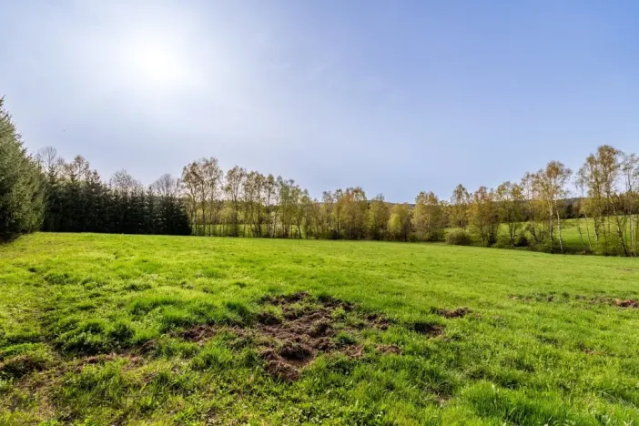 Prodej louky, Jablonec nad Nisou - Proseč nad Nisou, 10370 m2