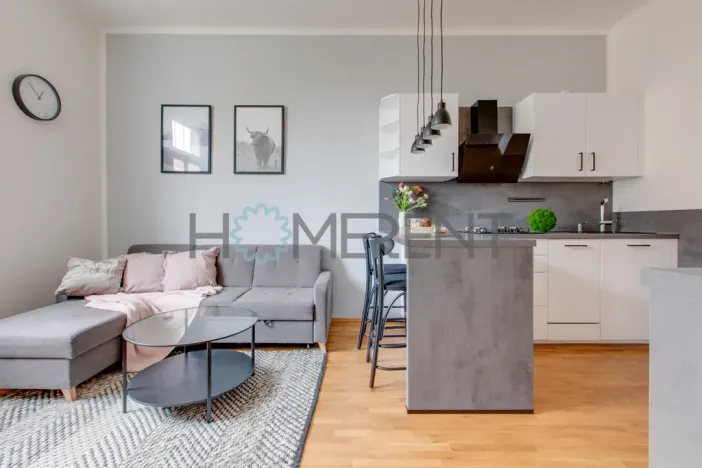 Prodej bytu 2+kk, Praha - Žižkov, Jagellonská, 45 m2