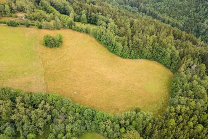 Prodej louky, Víchová nad Jizerou, 23358 m2