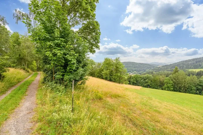 Prodej louky, Víchová nad Jizerou, 23358 m2