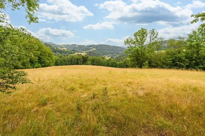 Prodej louky, Víchová nad Jizerou, 23358 m2