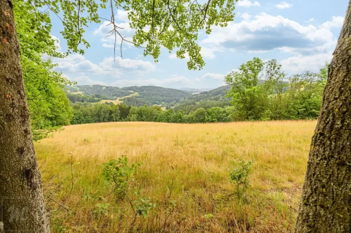 Prodej louky, Víchová nad Jizerou, 23358 m2
