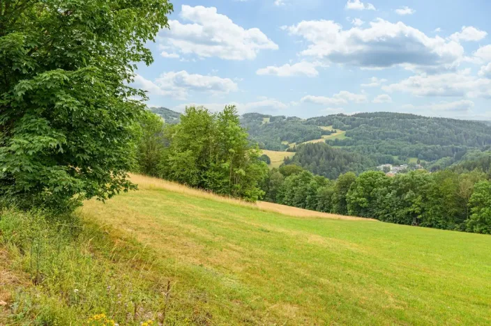 Prodej louky, Víchová nad Jizerou, 23358 m2