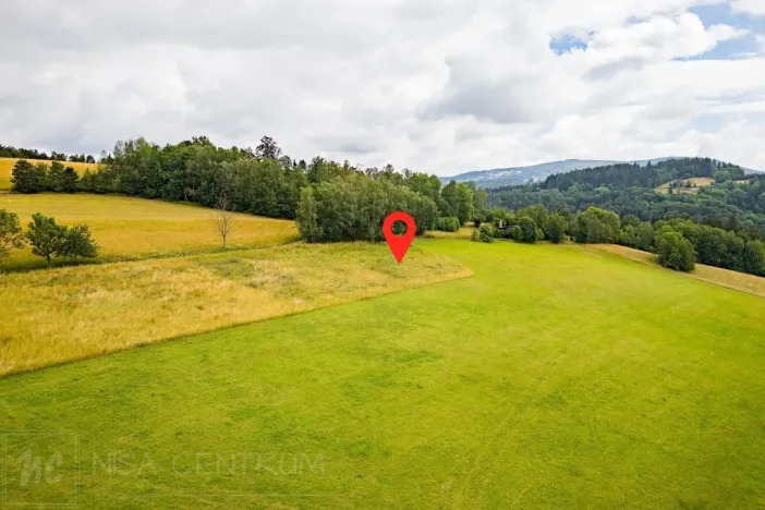 Prodej louky, Víchová nad Jizerou, 991 m2