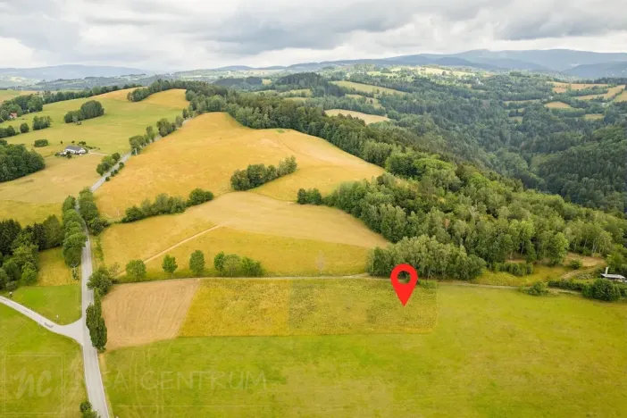 Prodej louky, Víchová nad Jizerou, 991 m2