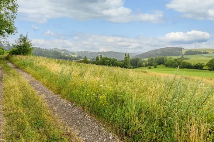 Prodej louky, Víchová nad Jizerou, 991 m2