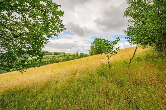 Prodej louky, Víchová nad Jizerou, 991 m2