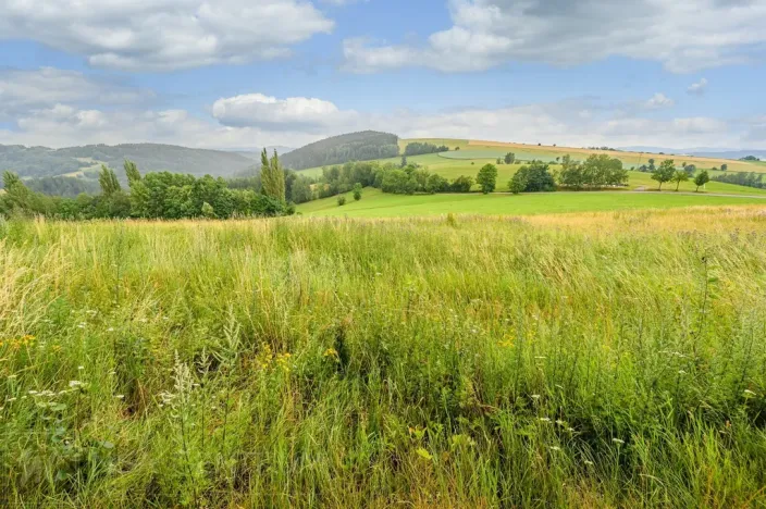Prodej louky, Víchová nad Jizerou, 991 m2