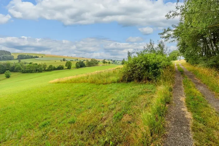 Prodej louky, Víchová nad Jizerou, 991 m2