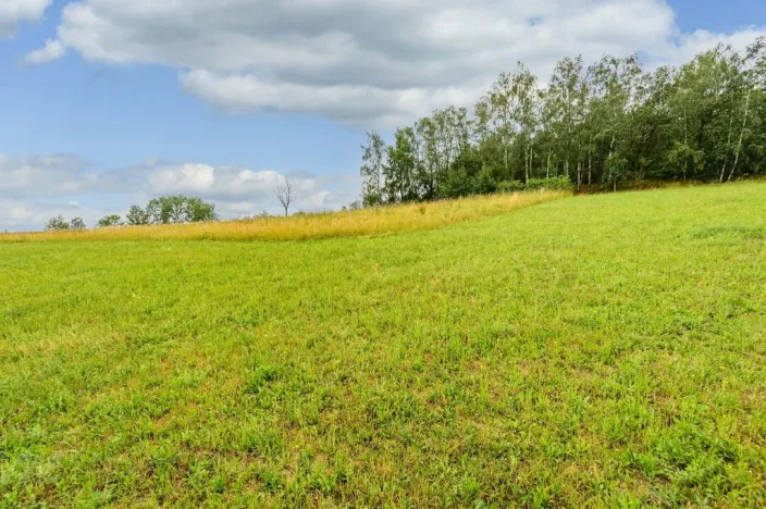Prodej louky, Víchová nad Jizerou, 991 m2