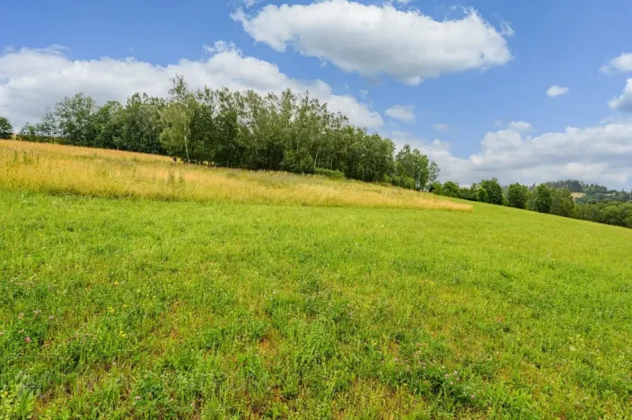 Prodej louky, Víchová nad Jizerou, 991 m2