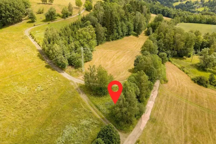 Prodej louky, Víchová nad Jizerou, 1739 m2