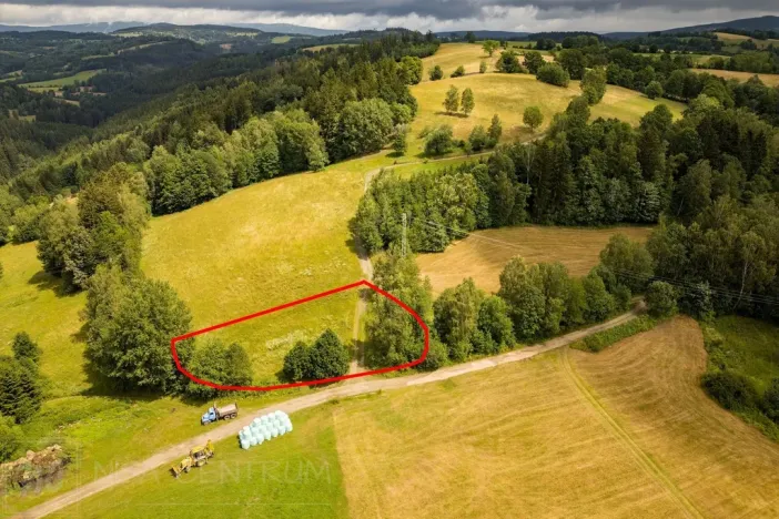 Prodej louky, Víchová nad Jizerou, 1739 m2