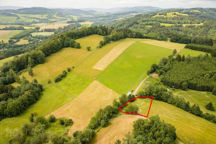 Prodej louky, Víchová nad Jizerou, 1739 m2