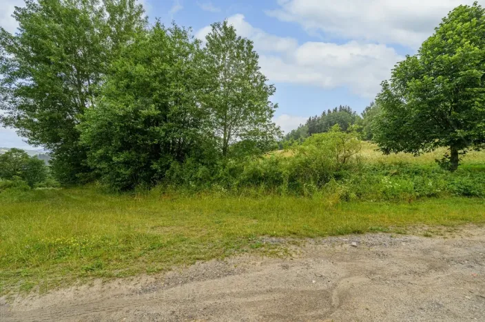 Prodej louky, Víchová nad Jizerou, 1739 m2