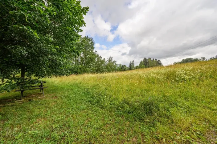 Prodej louky, Víchová nad Jizerou, 1739 m2