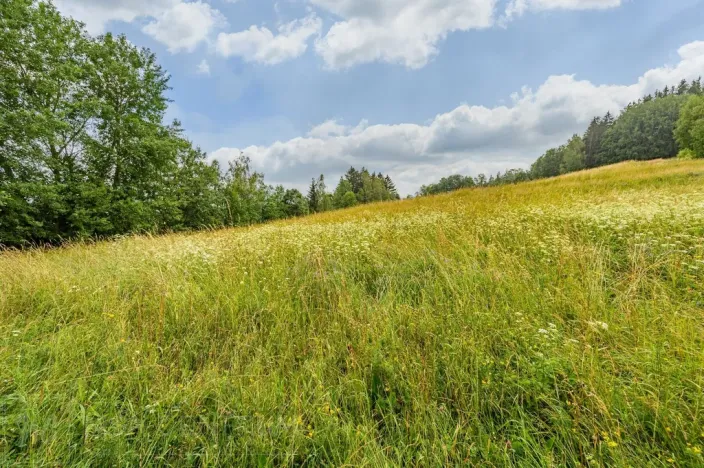 Prodej louky, Víchová nad Jizerou, 1739 m2