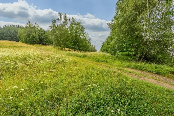 Prodej louky, Víchová nad Jizerou, 1739 m2