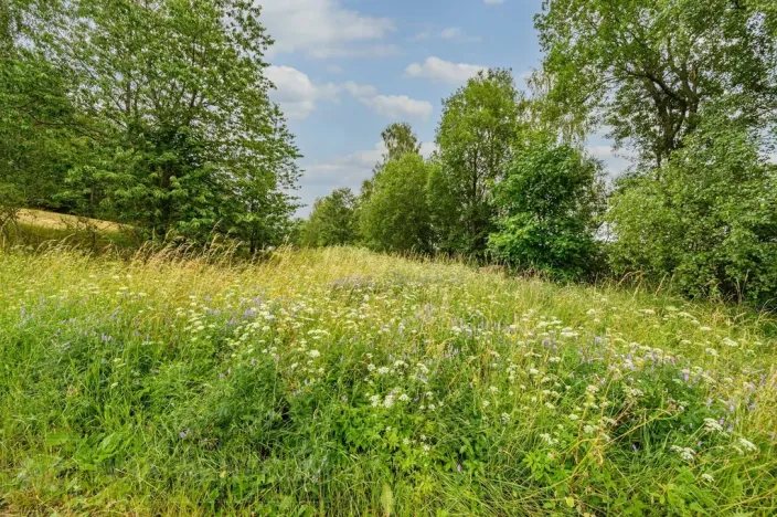 Prodej louky, Víchová nad Jizerou, 1739 m2