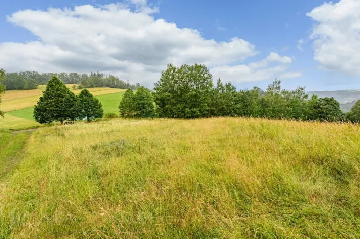 Prodej louky, Víchová nad Jizerou, 1739 m2
