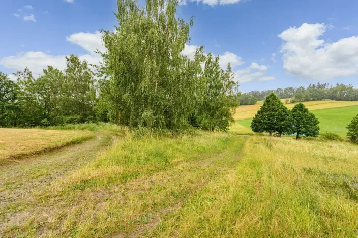 Prodej louky, Víchová nad Jizerou, 1739 m2