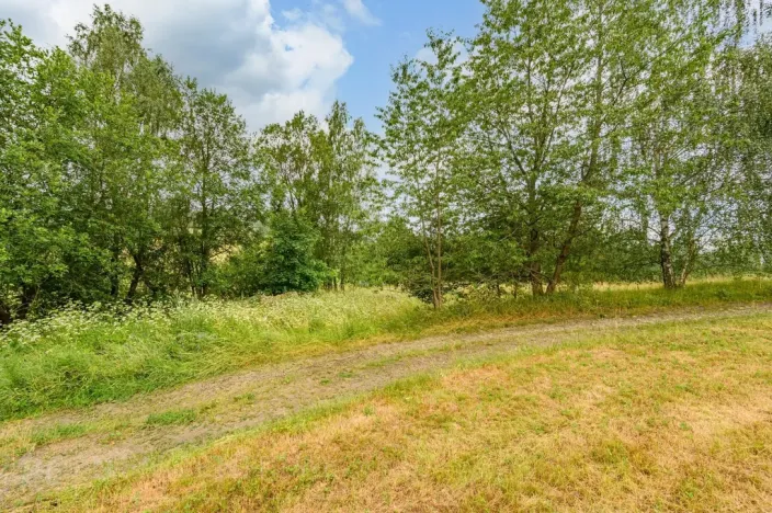 Prodej louky, Víchová nad Jizerou, 1739 m2