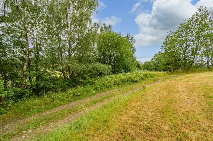 Prodej louky, Víchová nad Jizerou, 1739 m2