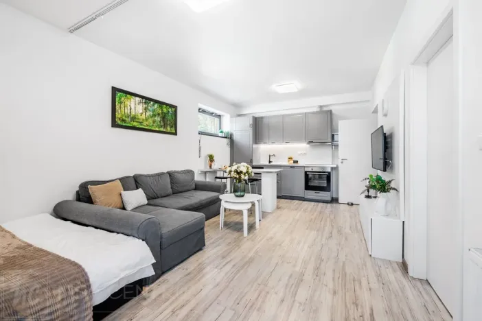 Prodej bytu 2+kk, Harrachov, 48 m2