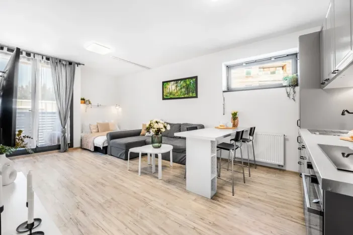 Prodej bytu 2+kk, Harrachov, 48 m2