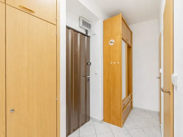 Prodej bytu 1+1, Praha - Vršovice, Gruzínská, 44 m2