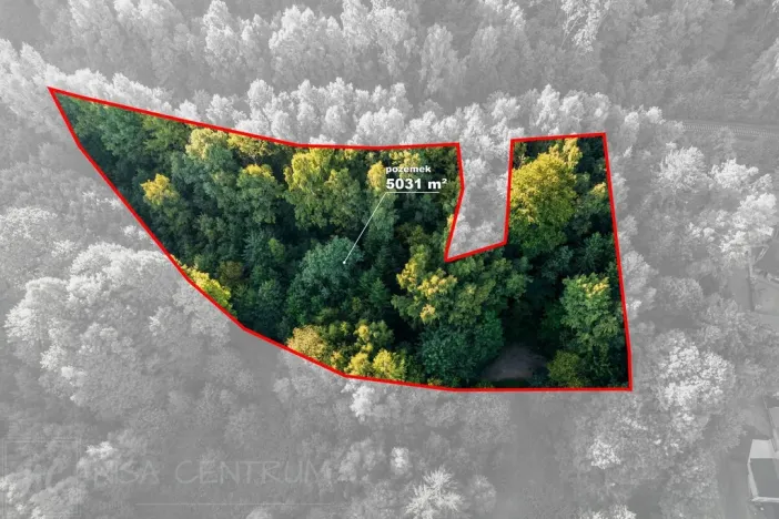 Prodej lesa, Nová Ves nad Nisou, 5031 m2