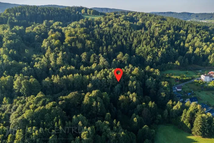 Prodej lesa, Nová Ves nad Nisou, 5031 m2