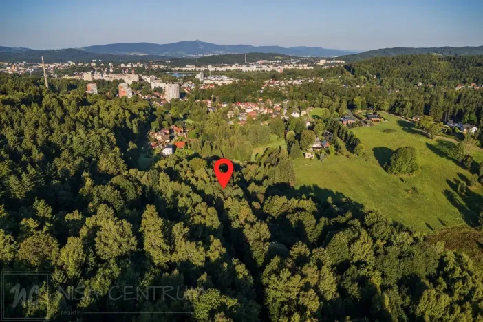 Prodej lesa, Nová Ves nad Nisou, 5031 m2