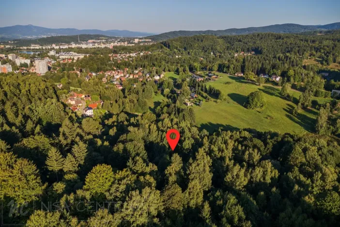 Prodej lesa, Nová Ves nad Nisou, 5031 m2