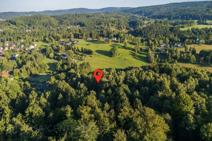 Prodej lesa, Nová Ves nad Nisou, 5031 m2