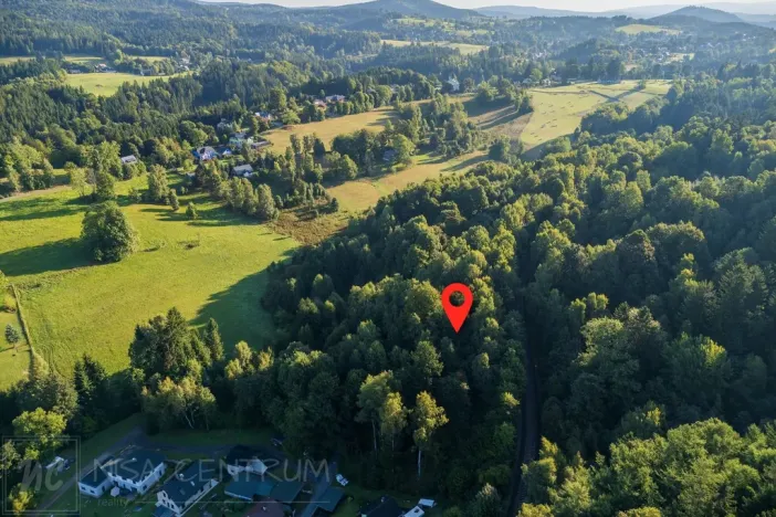Prodej lesa, Nová Ves nad Nisou, 5031 m2