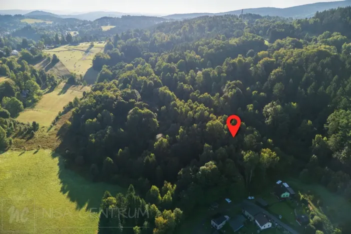Prodej lesa, Nová Ves nad Nisou, 5031 m2
