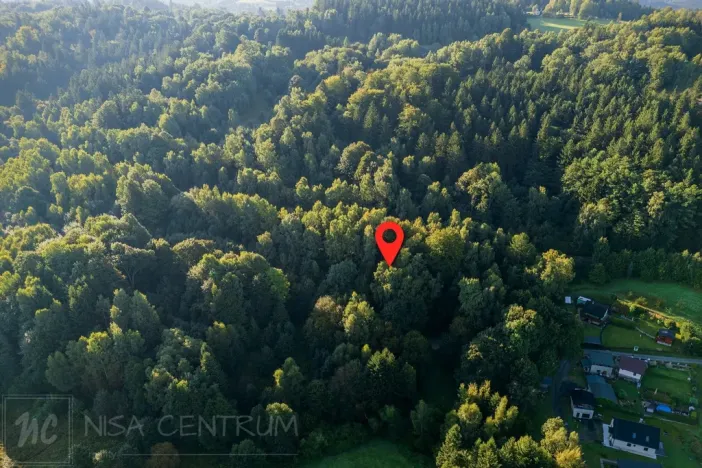 Prodej lesa, Nová Ves nad Nisou, 5031 m2