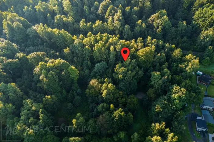 Prodej lesa, Nová Ves nad Nisou, 5031 m2