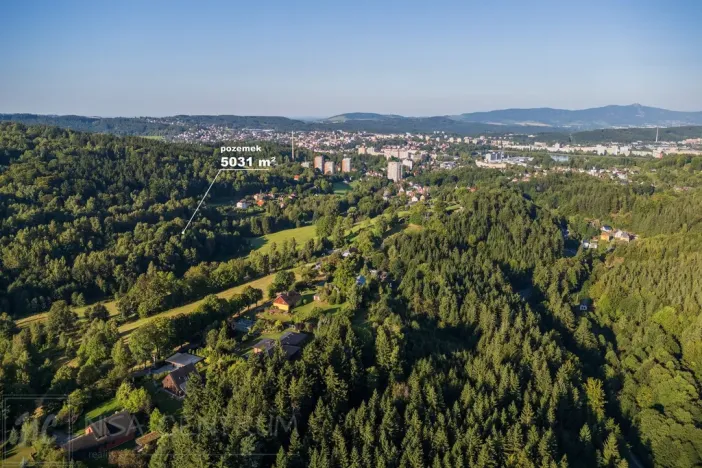 Prodej lesa, Nová Ves nad Nisou, 5031 m2