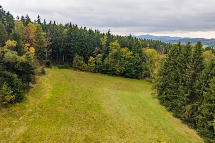 Prodej louky, Maršovice, 4745 m2