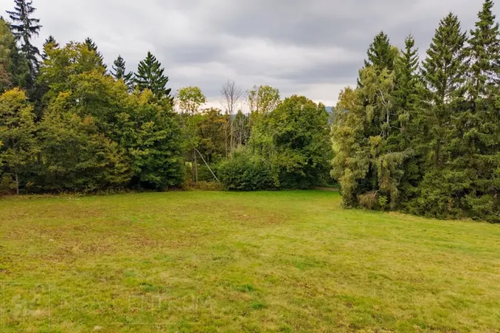 Prodej louky, Maršovice, 4745 m2