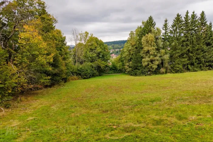 Prodej louky, Maršovice, 4745 m2